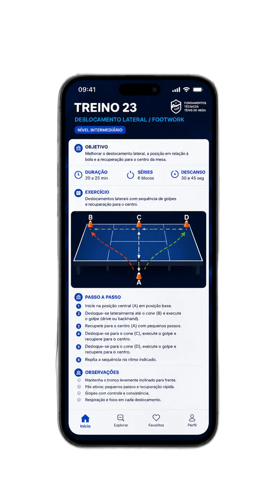 Treino 4